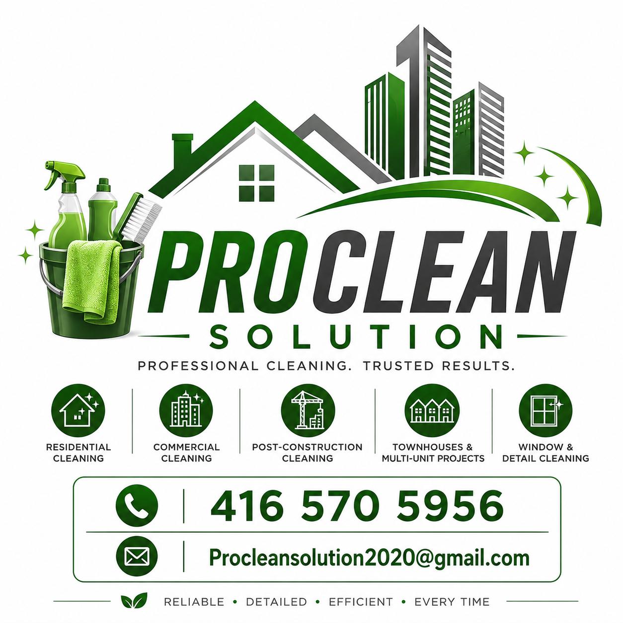 Pro Clean Solution